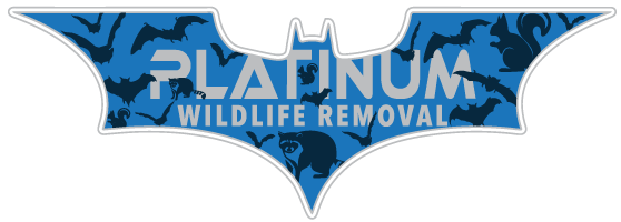 Laporte Wildlife Control